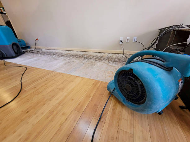 Professional Basement Flood Cleanup technician working in Clifton, CO